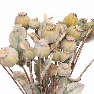 شابي الشيك ديكور للمنزل فناجين الشامي ديكور كبسولات الشامي للحانة المنزل ديكور حديقة بذور بابافر تبدو مثل الحقيقية - Product Image 4