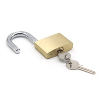 Tous types de cadenas 20-70 mm, ODM et OEM, échantillon gratuit, cadenas de sécurité, serrures chinoises, cadenas en laiton et cuivre les moins chers