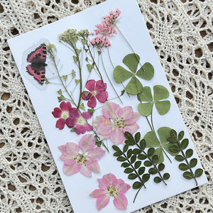 Fleurs séchées pressées pour enfant, nouveau Design, Art DIY, papillon et <span class=keywords><strong>plantes</strong></span> sèches, fleurs naturelles 2022 - Product Image 4