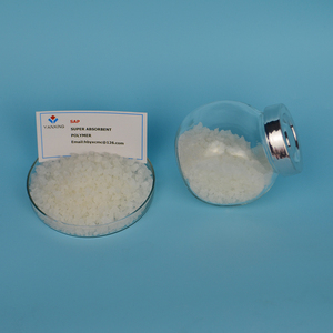 SAP Polymer Cho Ngô Sử Dụng Polymer Siêu Thấm - Product Image 2