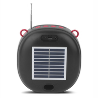 358 Nouvelle Enceinte Portable Stéréo Sans Fil avec Panneaux Solaires, Woofer, Radio FM/TF/USB/TWS et Bluetooth – Design Créatif et Adorable