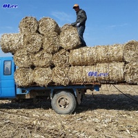 Mini-presse à balles pour foin d'alfalfa, ensileuse et presse à balles compacte pour maïs, ensileuse et presse à balles pour riz et paille de pin à vendre