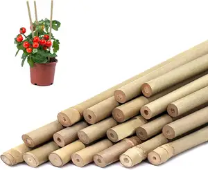 Bienvenido a <span class=keywords><strong>comprar</strong></span> postes <span class=keywords><strong>de</strong></span> bambú rectos <span class=keywords><strong>de</strong></span> Fujian para su granja - Product Image 1