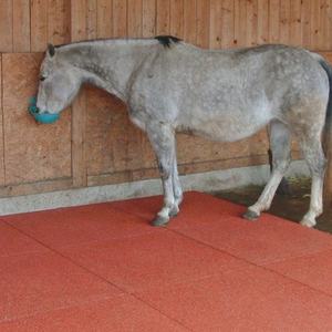 Dalles <span class=keywords><strong>de</strong></span> sol en caoutchouc pour écurie <span class=keywords><strong>de</strong></span> chevaux, tapis <span class=keywords><strong>de</strong></span> sol en caoutchouc bon marché pour écurie <span class=keywords><strong>de</strong></span> chevaux - Product Image 6