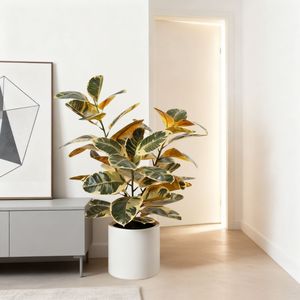 ต้นยางพาราปลอมหลากสีคุณภาพสูงสำหรับตกแต่งภายในบ้าน ขายส่ง - Product Image 6