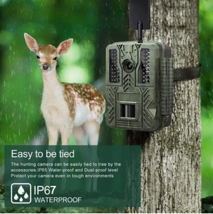 48mp 1080p Video động vật hoang dã máy ảnh 4G ứng dụng kiểm soát đám mây thời gian trôi đi 940nm hồng ngoại tầm nhìn ban đêm săn bắn máy ảnh - Product Image 6