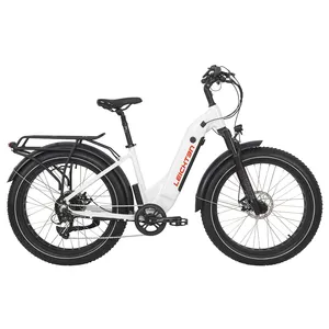 26英寸高品质山地E自行车与48V 750W马达脂肪轮胎自行车速度传感器电动自行车自行车电动