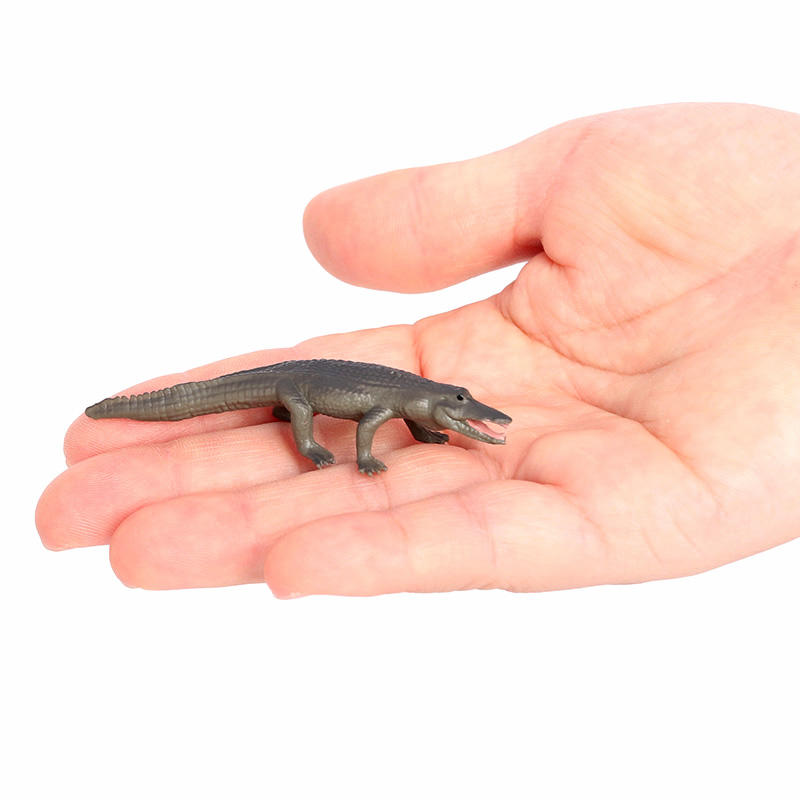 2973 Cocodrilo pequeño