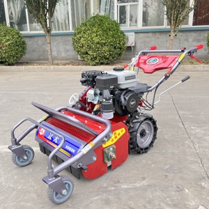 Tosaerba Semovente Industriale Monocilindrico da 600mm con Potente Motore, Larghezza di Taglio 600mm, Design <span class=keywords><strong>a</strong></span> Spinta Manuale - Product Image 5