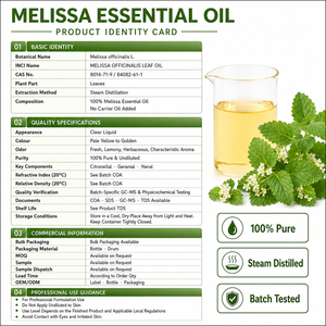 Huile de Mélisse Pure Naturelle en Vrac Distillée à la Vapeur OEM, Fraîche, Citronnée, Apaisante pour l'Anxiété, Soulage les Peaux Irritées, Anti-oxydante, Soin de la Peau - Product Image 2