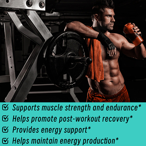 High Quality <b>Creatine</b> Powder <b>Creatine</b> Monohydrateq Boosts Exercise Performance Musclegrowth and Enhances Strength - Product Image 6