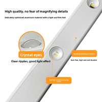 Ampoule Intelligente SIXWGH Rechargeable avec Capteur PIR, Éclairage 3-5m, Angle Large 120°, 3 Couleurs Réglables, Gradation Continue, Fixation Magnétique pour Armoires