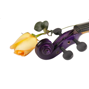 <span class=keywords><strong>Violino</strong></span> in Legno Portatile Colorato e Carino, <span class=keywords><strong>Viola</strong></span> <span class=keywords><strong>Viola</strong></span>, Prezzo Conveniente, Vendita Calda e Popolare - Product Image 6