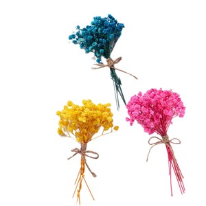 Mini Colorful Dried Baby's Breath Bouquet <b>Diy</b> Craft <b>Kit</b> For Home Decor Wall Art Accessories Yiwu Origin - Product Image 5