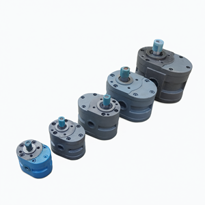 Bomba de Aceite de Engranajes de Hierro Fundido de Baja Presión para Lubricación y Transferencia de Aceite - Product Image 1