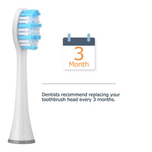 <span class=keywords><strong>Brosse</strong></span> à dents électrique sonique ultra-souple vente en gros conception de luxe têtes remplaçables à poils biodégradables pour modèle de soins bucco-dentaires en plein air - Product Image 6