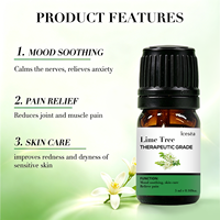 Ensemble d'huiles essentielles de citron vert en marque privée pour améliorer l'humeur et soulager le stress, 100% pur naturel, aromathérapie OEM
