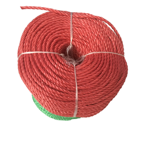 Chất lượng cao 8mm 12mm <span class=keywords><strong>16mm</strong></span> 2 sợi <span class=keywords><strong>Polypropylene</strong></span> chia phim dây mịn mềm thấp kéo dài linh hoạt biển nguồn cung cấp chung - Product Image 6