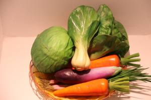 אזרח גודל 1919/17 מיוחד צבעים מיועד טרי פירות/בשר/מזון/ירקות 30-50w RA95 bridgelux 3 שנים <span class=keywords><strong>Led</strong></span> cob שבב - Product Image 5