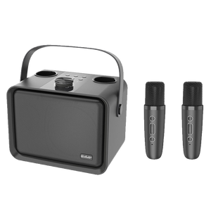 Lecteur de karaoké Bluetooth audio QM1 OEM ODM LOGO, amplificateur sans fil, haut-parleur portable d'extérieur avec microphone - Product Image 2