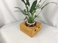 Nouveau design personnalisé Pot de plantes portable Fournitures de fleuriste Vase à fleurs Boîte de transport Emballage Boîte de livraison de fleurs pour contenir un vase