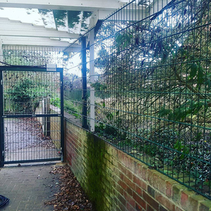 Cao cấp tùy chỉnh 656 hoặc 868 đôi dây đôi Hàn hàng rào 6 chân cao trellis & Gates 3D mô hình dịch vụ bao gồm - Product Image 2