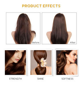 Etiqueta privada Sin sulfatos Natural Vegano Orgánico Aceite de argán Aceite de árbol de té Champú y acondicionador para la caspa Juego de cuidado del cabello - Product Image 6