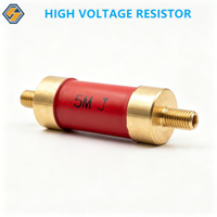 Resistencia Divisora Profesional RI80 HV con Material de Vidrio Glaseado de Película Gruesa para Fuente de Alimentación Industrial de Alto Voltaje
