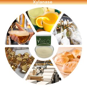 Futtermittelqualität Xylanase Futtermittel-Enzym Hohe Aktivität 5.000u/g Xylanase-Enzym Bestseller Wettbewerbsfähiger Preis - Product Image 2