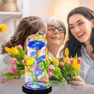 Vente en gros 2025 – Meilleure vente : Rose en feuille d'or 24 carats au design moderne avec dôme en plastique LED pour la Saint-Valentin et la fête des Mères - Product Image 6