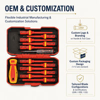 HEHE Ensemble de tournevis isolés VDE 1000V, 13 pièces, CR-V, magnétiques, interchangeables, kit d'outils manuels pour électriciens avec stylo testeur