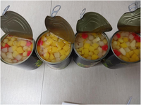 Cocktail de fruits en conserve savoureux en vrac dans une riche sauce, fruits mélangés en conserve de qualité supérieure pour pâtisseries et desserts
