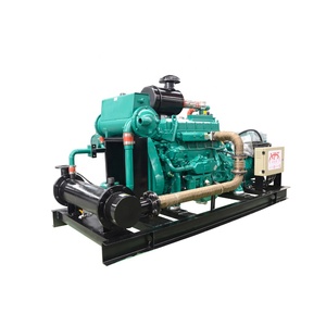 Générateur électrique au biogaz silencieux homologué CE de 100 kW à 1000 kW - Product Image 2