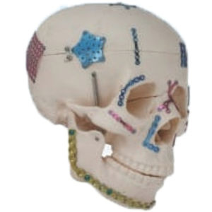 Implantes PRODUCTOS QUIRÚRGICOS Sector de la Salud Hospital Privado Hospital Público Cadena de Farmacias Corporativas - Product Image 2