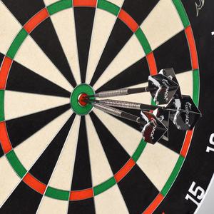 Premium Competition Use Tungsten Steel Factory Metal Tips <b>Darts</b> Set - Product Image 5