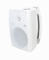 Haut-parleur mural étanche 8 ohms pour spa, zone humide, système de musique d'ambiance commercial, audio résistant aux intempéries