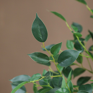 Plante artificielle de feuilles de banian Ruilisi dans un vase en verre pour la décoration intérieure, arrangement de verdure d'intérieur - Product Image 4