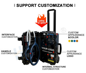 Appareil PEMF personnalisable non invasif pour animaux, massage corporel, réduction de la douleur, thérapie PEMF pour clinique vétérinaire - Product Image 2