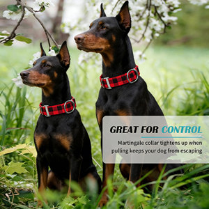 Collar Martingale Personalizado a Cuadros para Perro - Collares Ajustables y Duraderos con Patrones para Todas las Razas de Perros, Collares Martingale sin Hebilla para Mascotas - Product Image 5