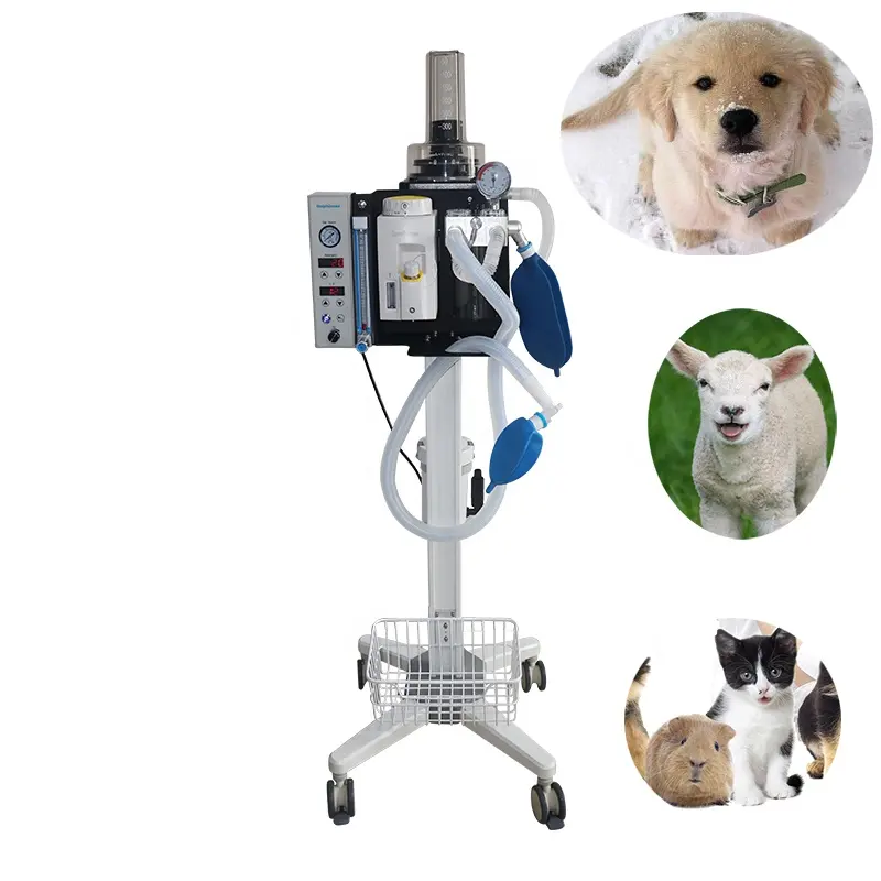 Amain OEM/ODM Factory AMDA300V3 Leichtes und tragbares Veterinär anästhesie gerät Integriertes Anästhesie gerät mit Belüftung