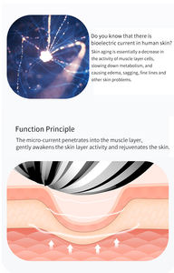 2021 pemijat wajah Premium Roller tubuh Microcurrent <span class=keywords><strong>Platinum</strong></span> 4D - Product Image 6