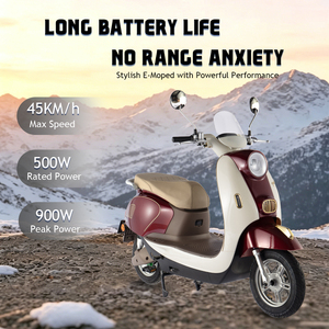 Trottinette électrique PACIFIC 500W 60V 24AH avec batterie au lithium, pneus 3.0-10, moteur sans balais, pour adultes, fabrication OEM - Product Image 3