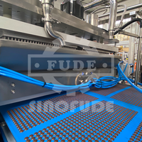 Machine d'enrobage et de remplissage central SINOFUDE à servomoteur complet pour biscuits, noix et barres chocolatées, haute capacité