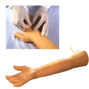 Modèle d'entraînement au bras pour la formation en ponction veineuse et aux soins des personnes âgées, destiné aux sciences médicales et aux compétences infirmières - Product Image 1