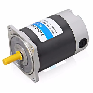 Motores de CC de 24 V, 40/100 W, Impermeables y Resistentes al Polvo, <span class=keywords><strong>con</strong></span> Freno, para Coche de Control Remoto - Product Image 1