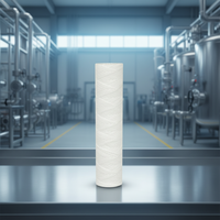 Cartouche filtrante en polypropylène (PP) résistante aux produits chimiques, enroulée, pour l'industrie pétrochimique et la filtration des solutions de placage
