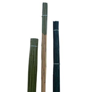 1.5 M prix de gros pas cher piquets de bambou teints en vert pour la décoration de <span class=keywords><strong>jardin</strong></span> de plantes (250 pièces) - Product Image 2