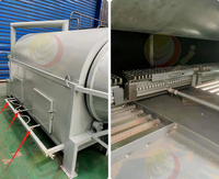 Sécheur professionnel à air chaud pour déchets alimentaires, boues, grains, double tambour, 30 tonnes, machine à sécher les feuilles de moringa