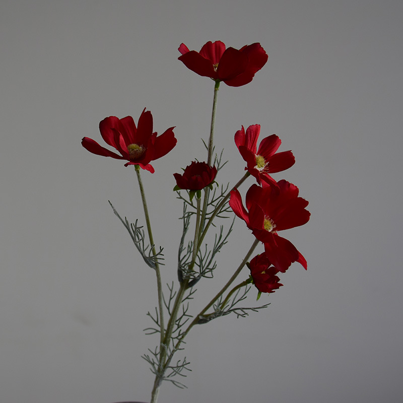 Rouge