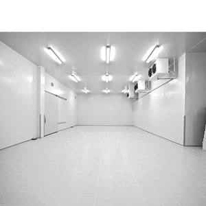 Chambre froide/chaude/chaudière/congélateur de pointe avec évaporateur, unité de condensation et congélateur profond, en promotion du fabricant - Product Image 1